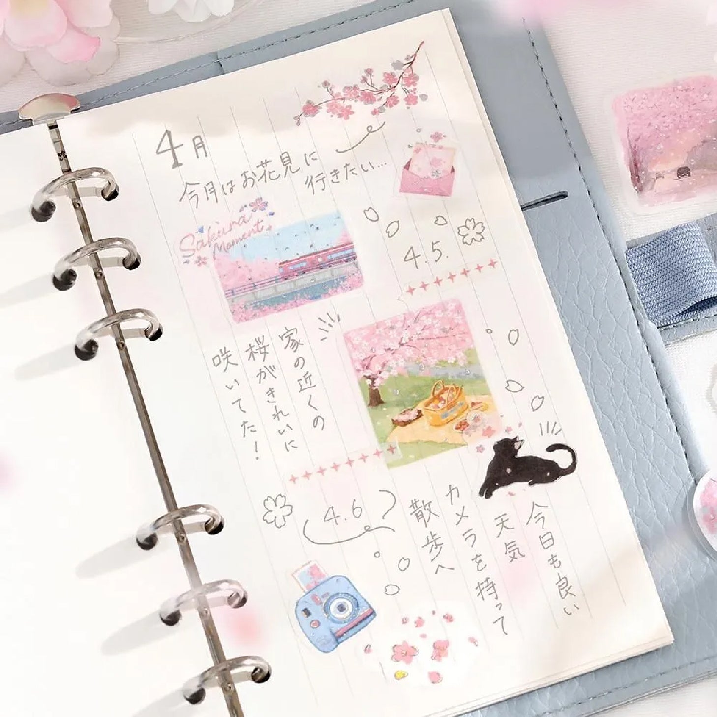 🌸 Sakura Collection 桜グッズ特集 – Japanese Cherry Blossom